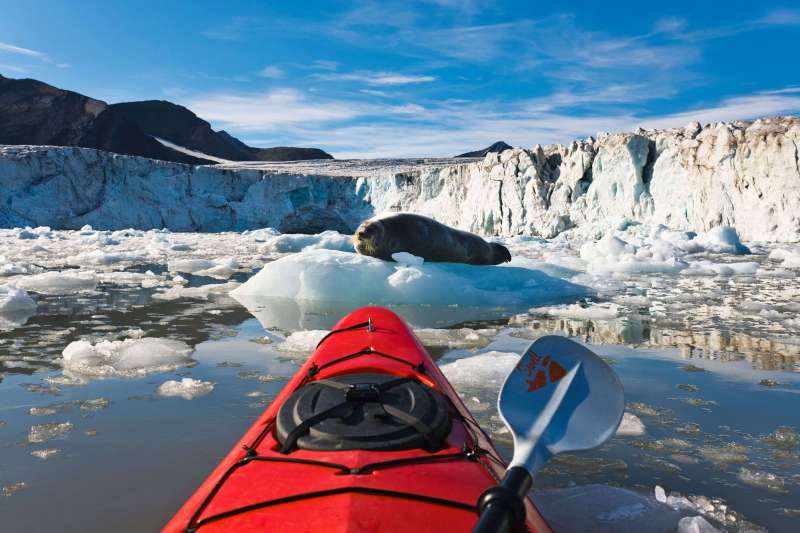 Rando-kayak au fil des glaces de l'Isfjord