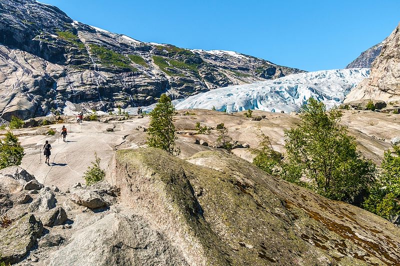 A pied, en bateau, en minibus et en train à la découverte du meilleur de la Norvège du sud.