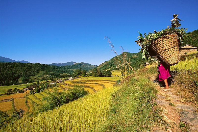 Pokhara - District de Kaski - Zone de la Gandaki - Népal