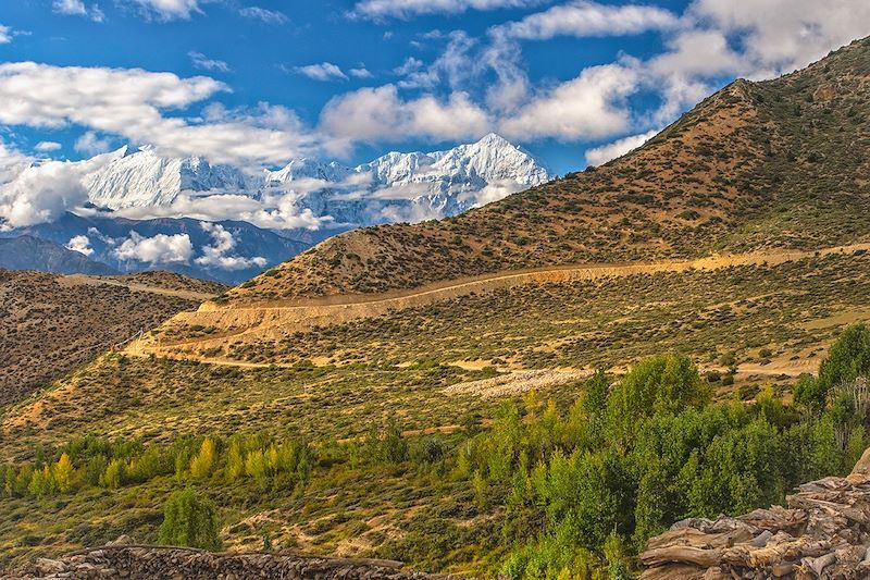 Samar - District de Mustang - Népal