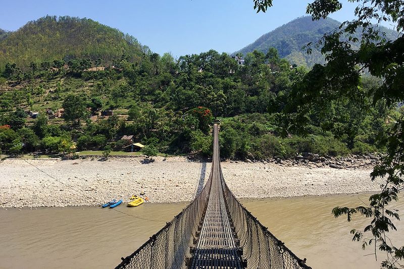 Pont dans le parc national de Chitawan - Zone de Narayani - Népal