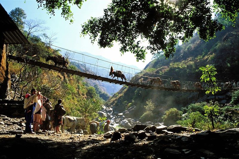 Pont suspendu aux environs de Tatopani  - Région des Annapurnas - Népal