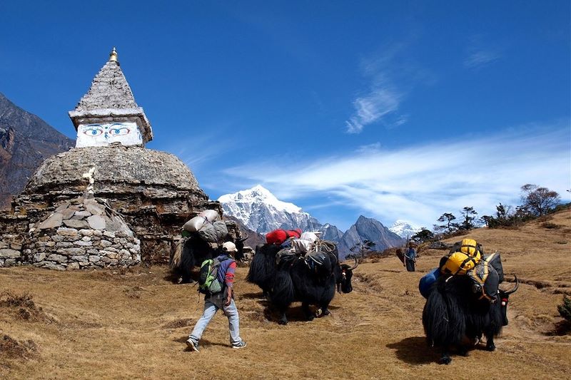 Randonnée - Khumbu - District de Solukhumbu - Himalaya - Népal