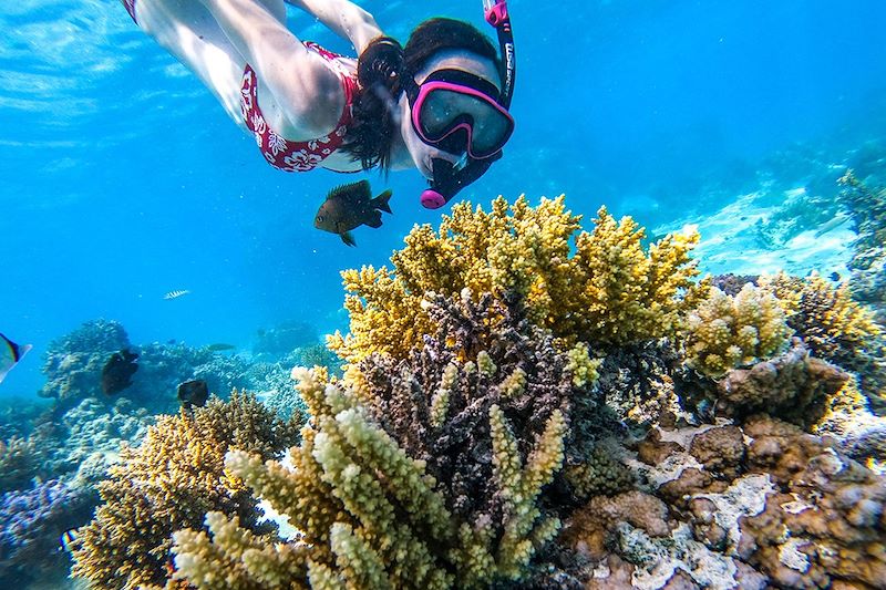 Snorkeling à Aitutaki - Îles Cook