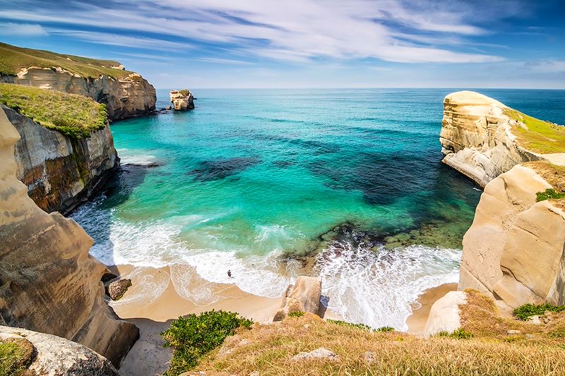 Stage photo nature sur les sites exceptionnels de l'île du sud de la Nouvelle-Zélande