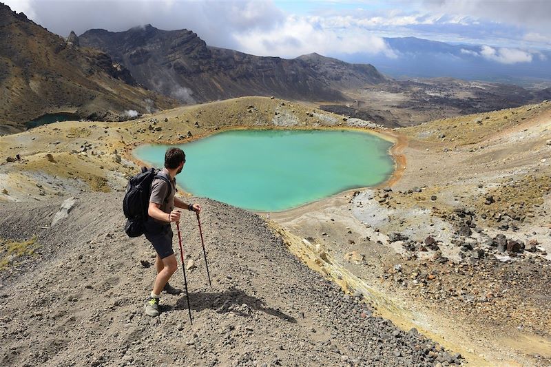 Incontournables et rando du Nord au Sud : Tongariro, Great Walk du Routeburn en 3 jours, Mont Cook, Tongariro, Roys Peak et plus !