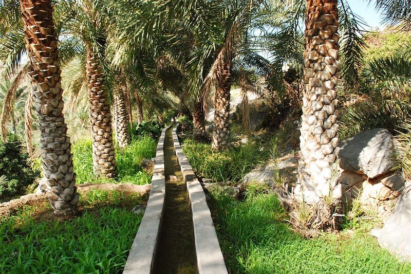 Falaj dans les jardins de Misfat al Abreyeen - Oman