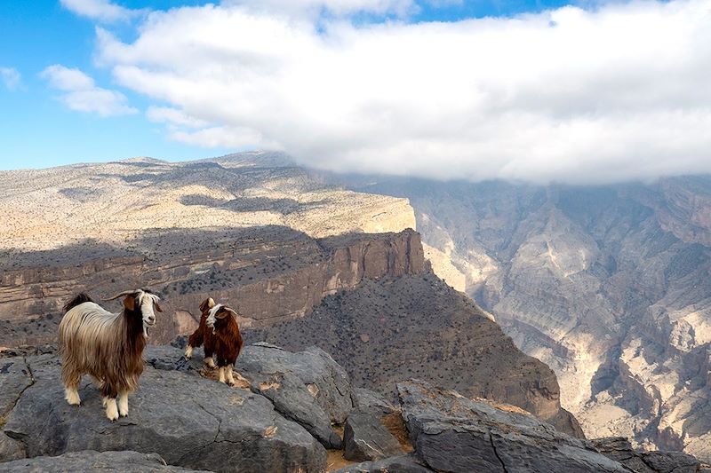 Jebel Shams - Monts Hajar  - Oman