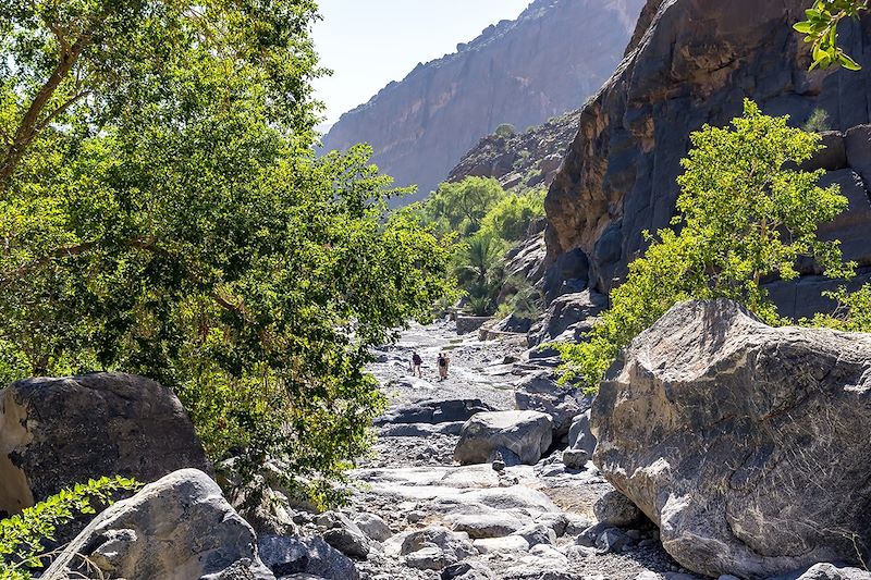 Wadi Nakhr - Oman