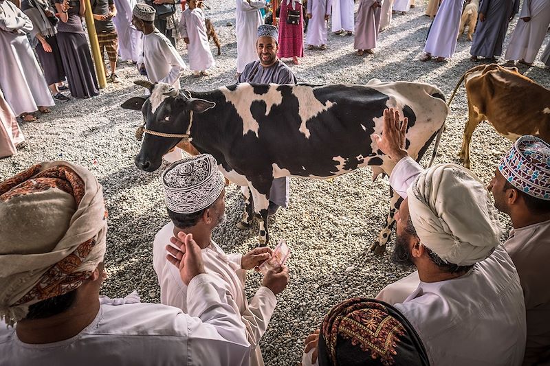 Marché aux bestiaux de Nizwa - Gouvernorat de Ad-Dakhiliyah  - Oman