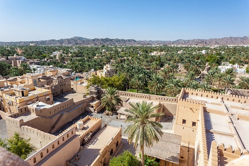 Vue sur l'Oasis de Nizwa - Oman