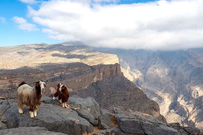 Jebel Shams - Monts Hajar  - Oman