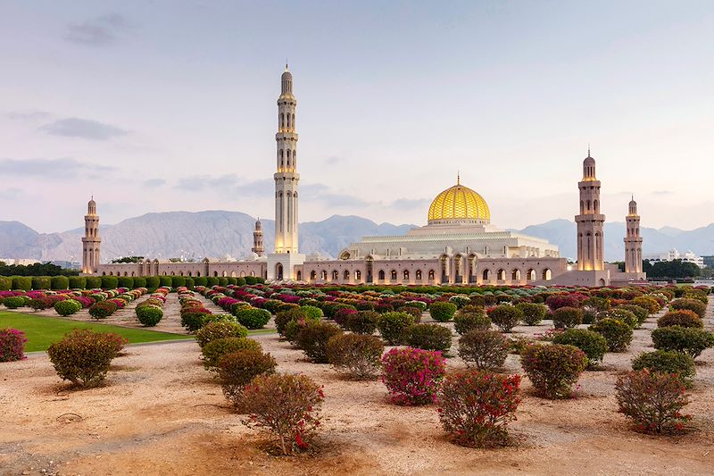 Grand tour d'Oman du Nord au Sud:les incontournables d'Oman puis rejoindre Salalah via déserts, plages, wadis et l’île de Masirah