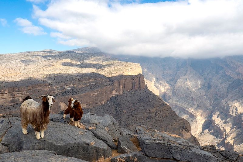 Jebel Shams - Monts Hajar  - Oman