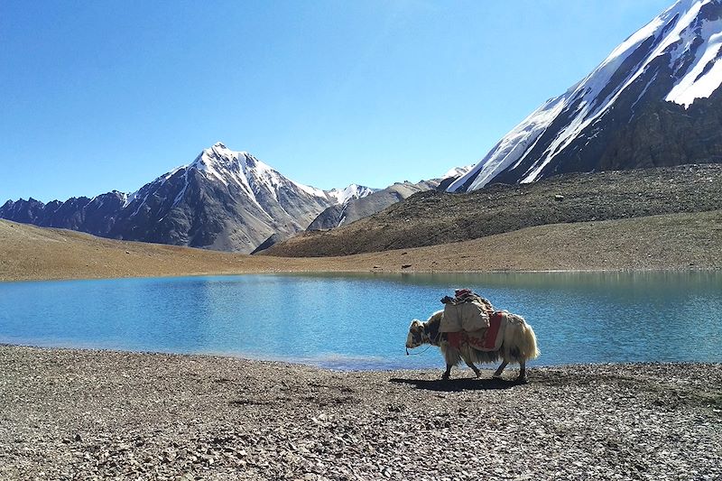 Trek Shimshal Pass et Ascension Mingil Sar (6050m) : trek au cœur des montagnes du Karakoram