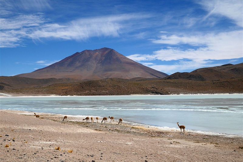 Randos et découvertes du désert d'Atacama à la Vallée Sacrée des Incas, via les Machu Picchu, lac Titicaca et salar d'Uyuni