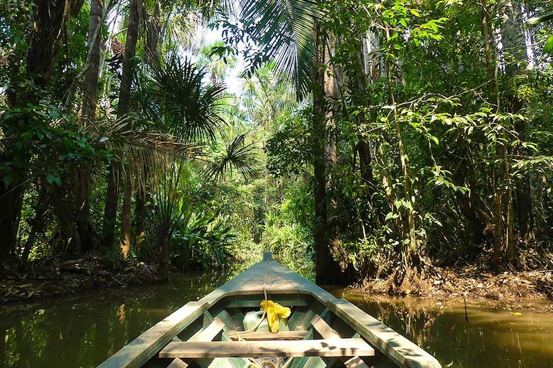 En pirogue dans la forêt amazonienne - Pérou