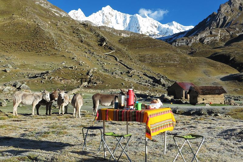 Campement dans ma Cordillère Huayhuash - Pérou