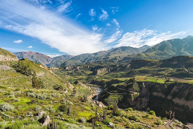 Balades à la découverte des cultures andines millénaires, d’Arequipa au Machu Picchu, via le lac Titicaca…Extension aux Galápagos!