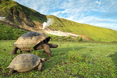 voyage Au pays des Incas & Galápagos