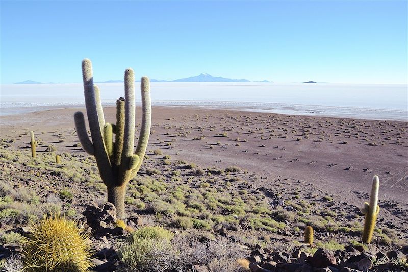 Salar Uyuni - Potosi - Bolivie