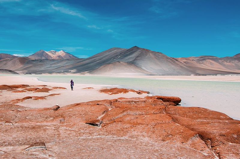 Grand panorama andin : de l'Atacama chilien à Cusco et la Vallée Sacrée des Incas, via le Sud Lipez bolivien et le lac Titicaca !