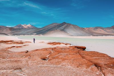 voyage L'odyssée : Atacama, Uyuni & Machu Picchu