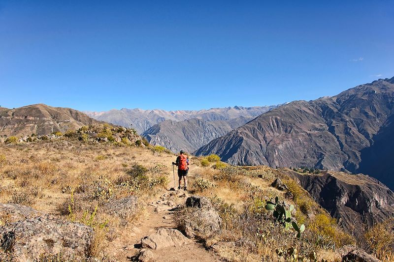 Trekking dans le Canyon de Colca - Pérou