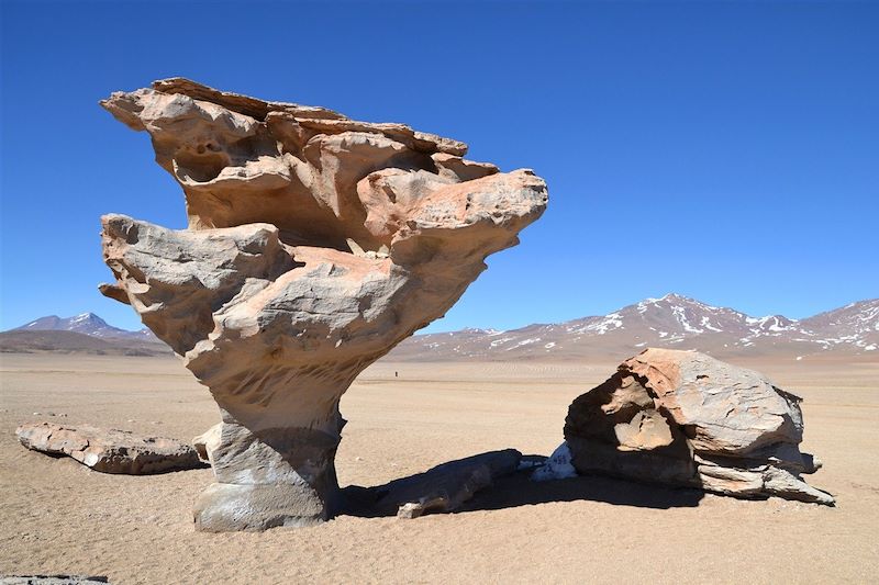 Arbre de pierre - Salar de Uyuni - Bolivie