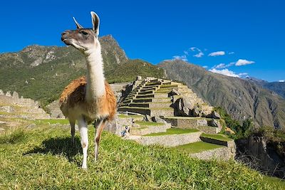 voyage Chez les Incas & Titicaca