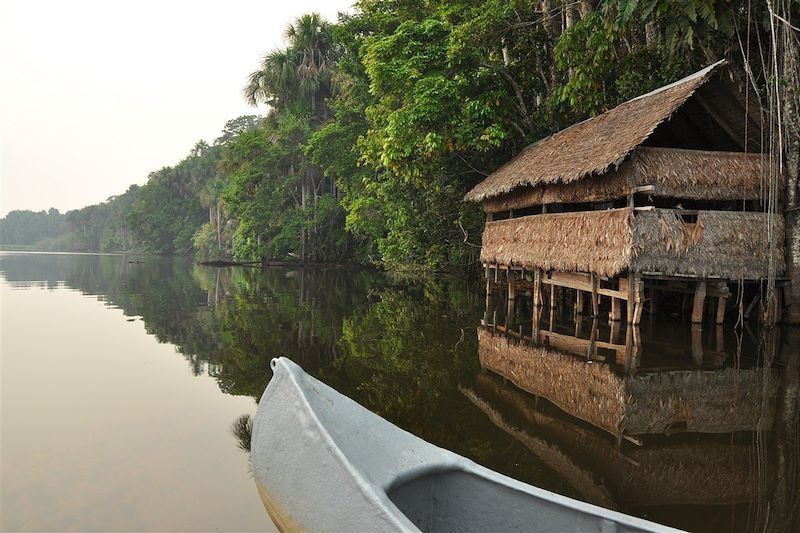 Forêt amazonienne - Puerto Maldonado - Pérou