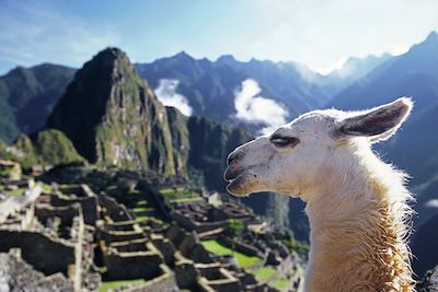 voyage Petits Incas, Machu Poncho et Amazonie