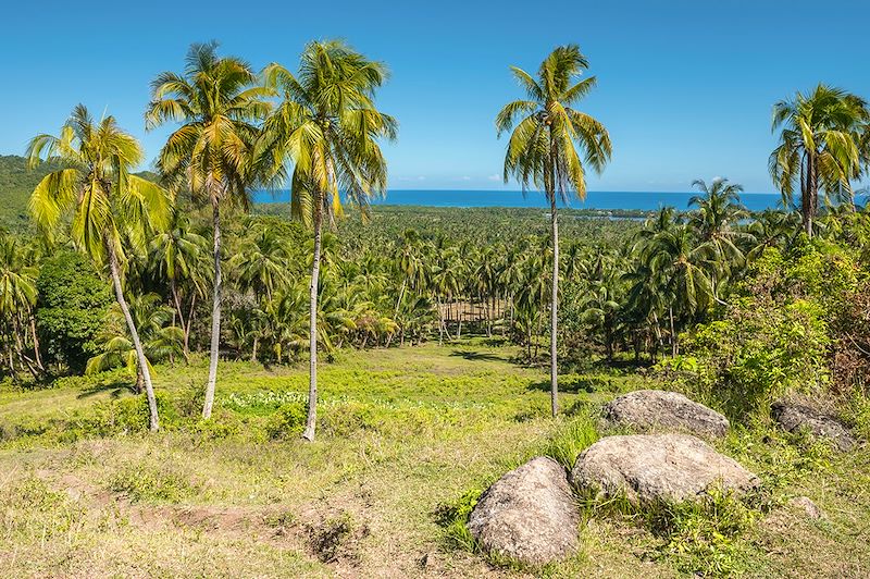 Voyage tranquille et itinérant, d'île en île, dans le luxuriant archipel tropical des Visayas.