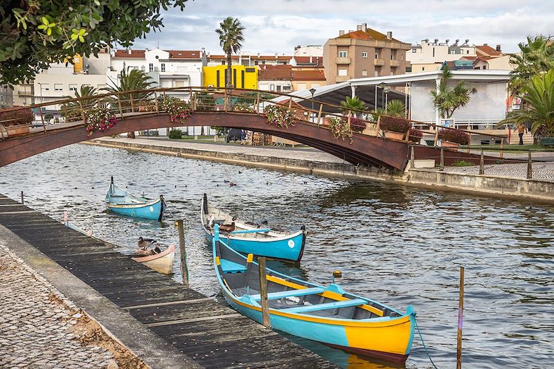 De Porto à Lisbonne à vélo, une aventure à vélo le long de l'océan Atlantique et au cœur de la campagne portugaise  