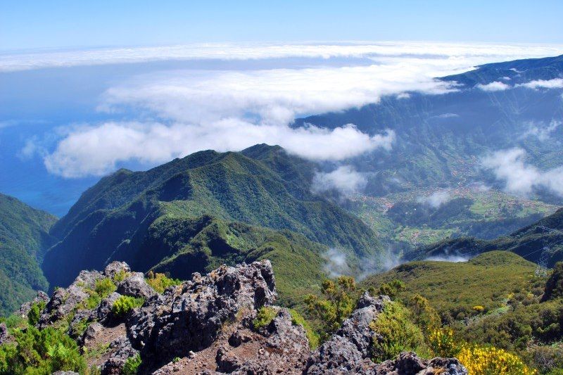 Ruivo do Paul da Serra - Sao Vicente - Madère