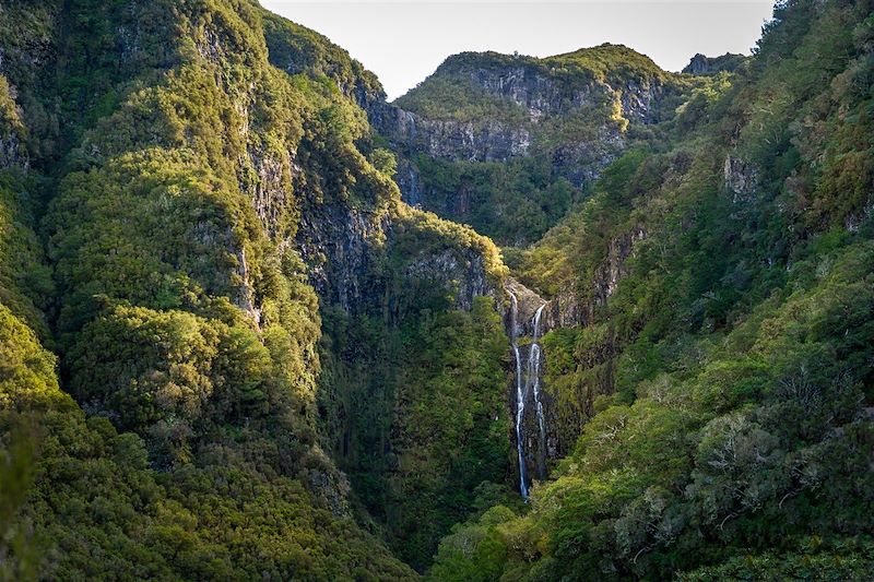 Cascade sur le chemin de la Levada des 25 sources - Madère - Portugal