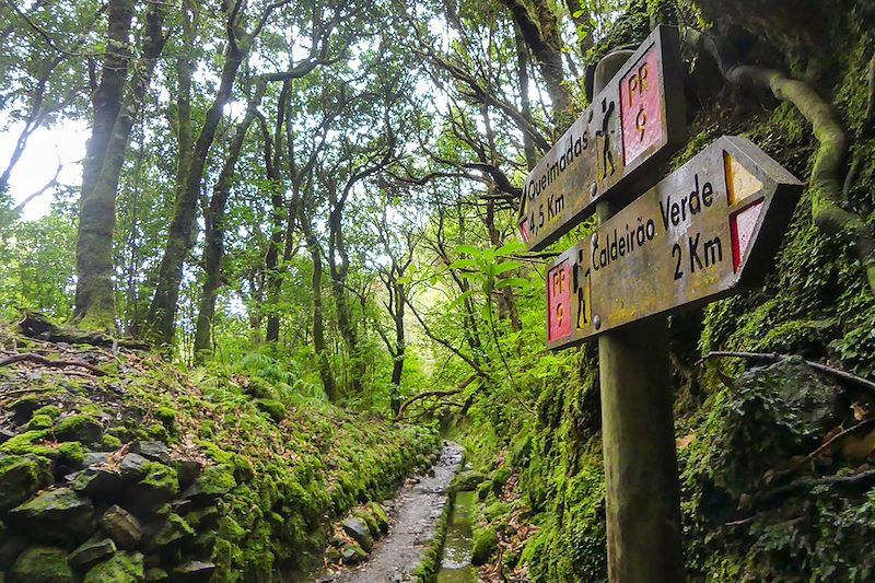 Levada do Caldeirão Verde - Madère - Portugal