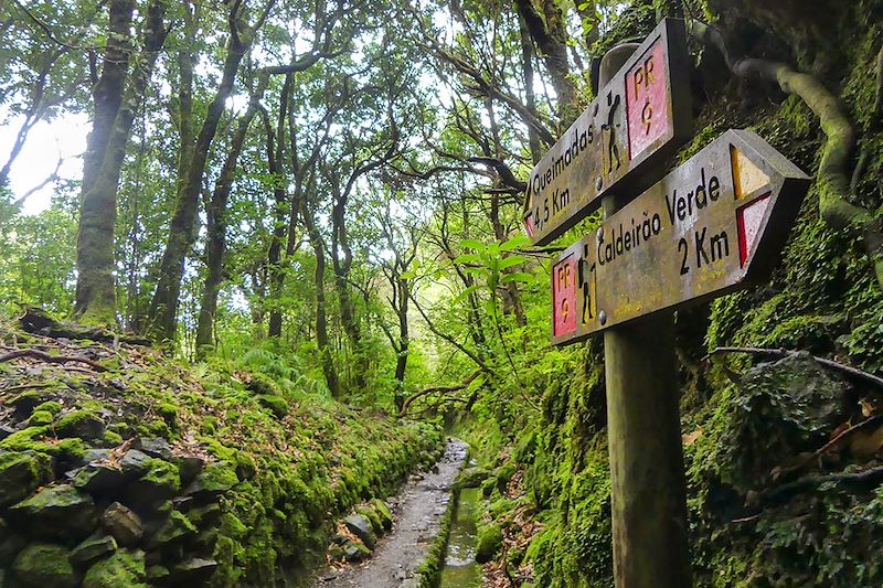 Levada do Caldeirão Verde - Madère - Portugal