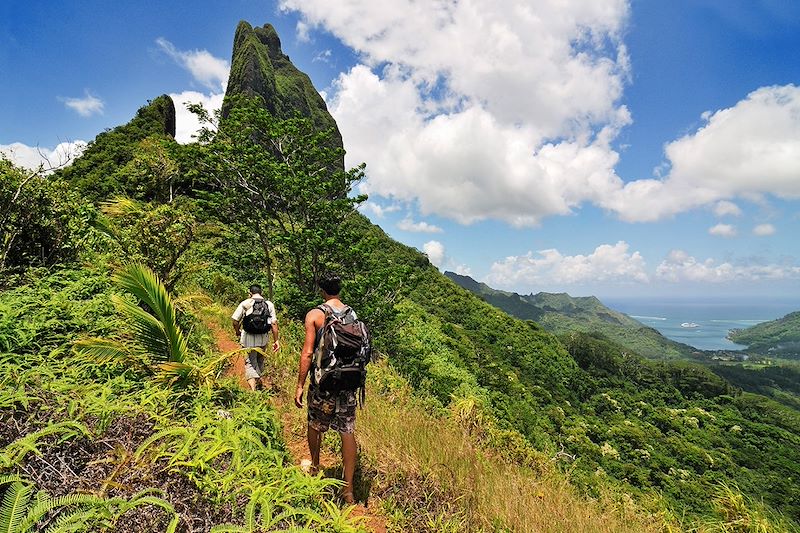 Voyage au volant de votre van aménagé en Polynésie, deux semaines d’aventure avec les plus beaux sites de Tahiti et Moorea