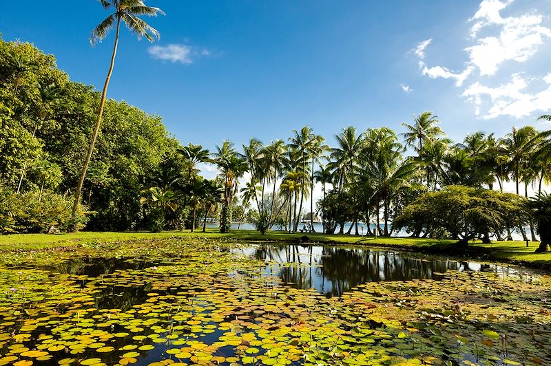 Voyage au volant de votre van aménagé en Polynésie, deux semaines d’aventure avec les plus beaux sites de Tahiti et Moorea