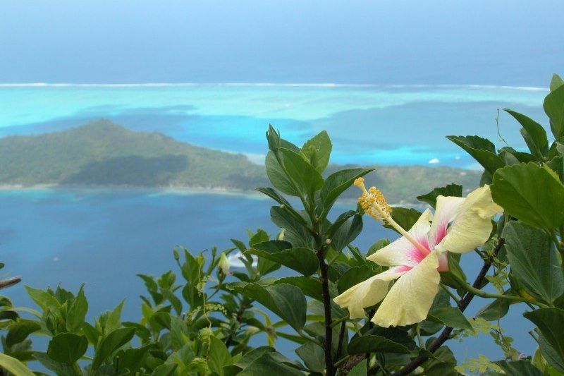 Tahiti - Archipel de la Societé - Polynésie