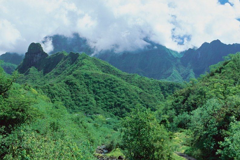 Vallée de la Papenoo - Tahiti