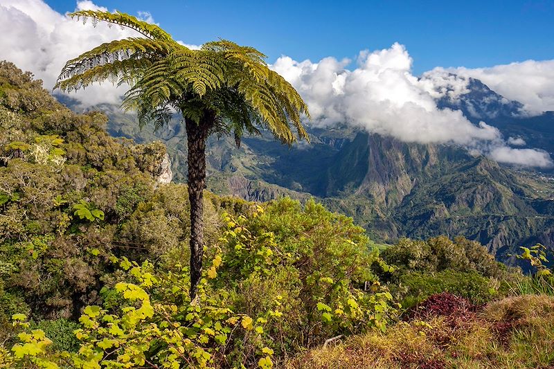 Voyage à La Réunion accessible aux personnes à mobilité réduite avec une découverte des sites incontournables de l’île.