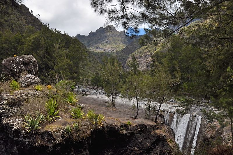 Trek complet dans les 3 cirques avec un focus sur Mafate, forêt de Bélouve, ascension des Pitons des Neiges et de la Fournaise…