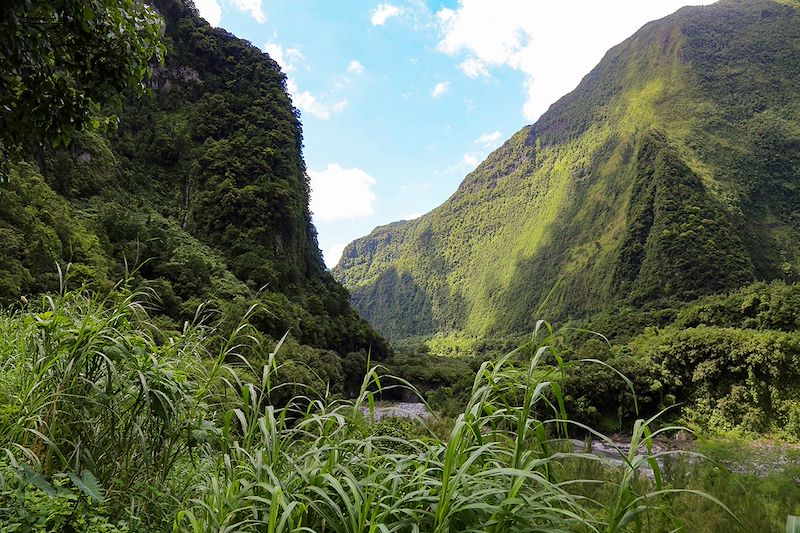 Trek complet dans les 3 cirques avec un focus sur Mafate, forêt de Bélouve, ascension des Pitons des Neiges et de la Fournaise…