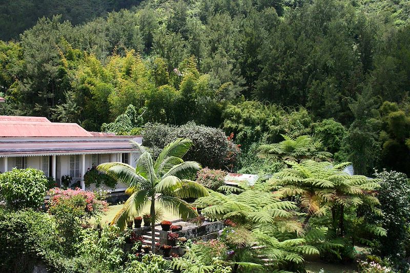 Le Relais des Cimes - Hellbourg - La Réunion