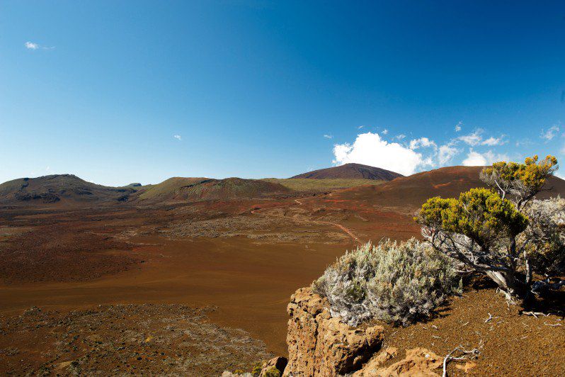 Balades de l’île de la Réunion à Rodrigues : Découverte des saveurs créoles, trek facile entre Rando côtière et forêt tropicale...