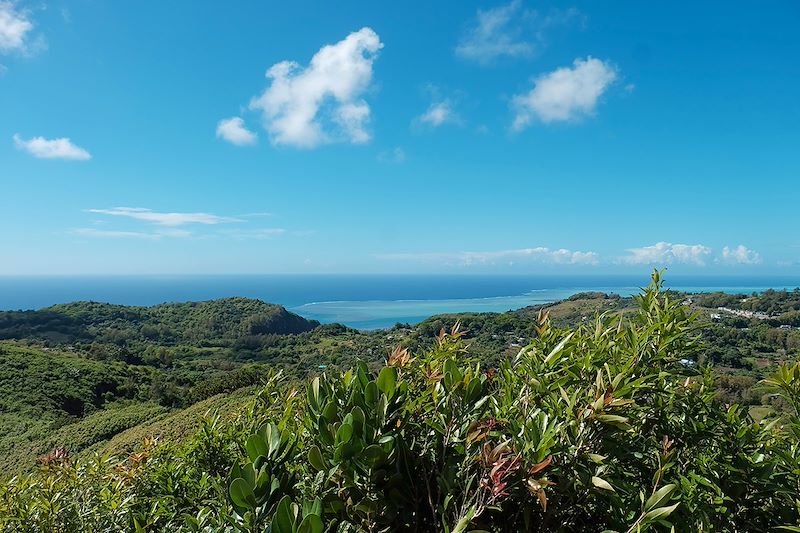 Balades de l’île de la Réunion à Rodrigues : Découverte des saveurs créoles, trek facile entre Rando côtière et forêt tropicale...