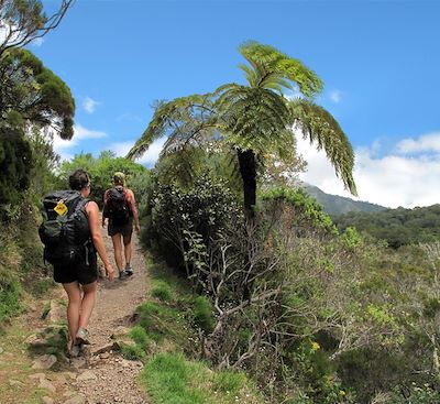 voyage Réunion