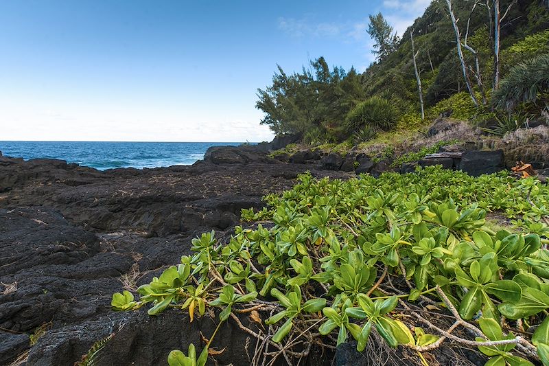 Circuit des incontournables de La Réunion en multi activités avec canyoning, randonnée, kayak au cœur des reliefs et du lagon